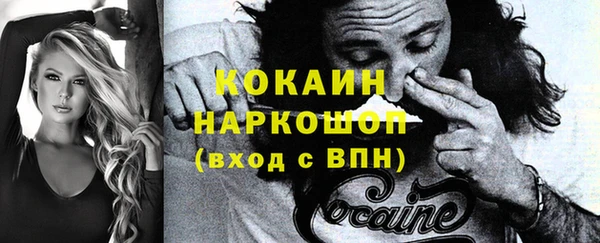 мет Алексин