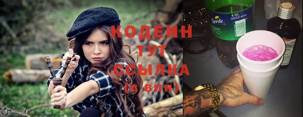 мет Алексин